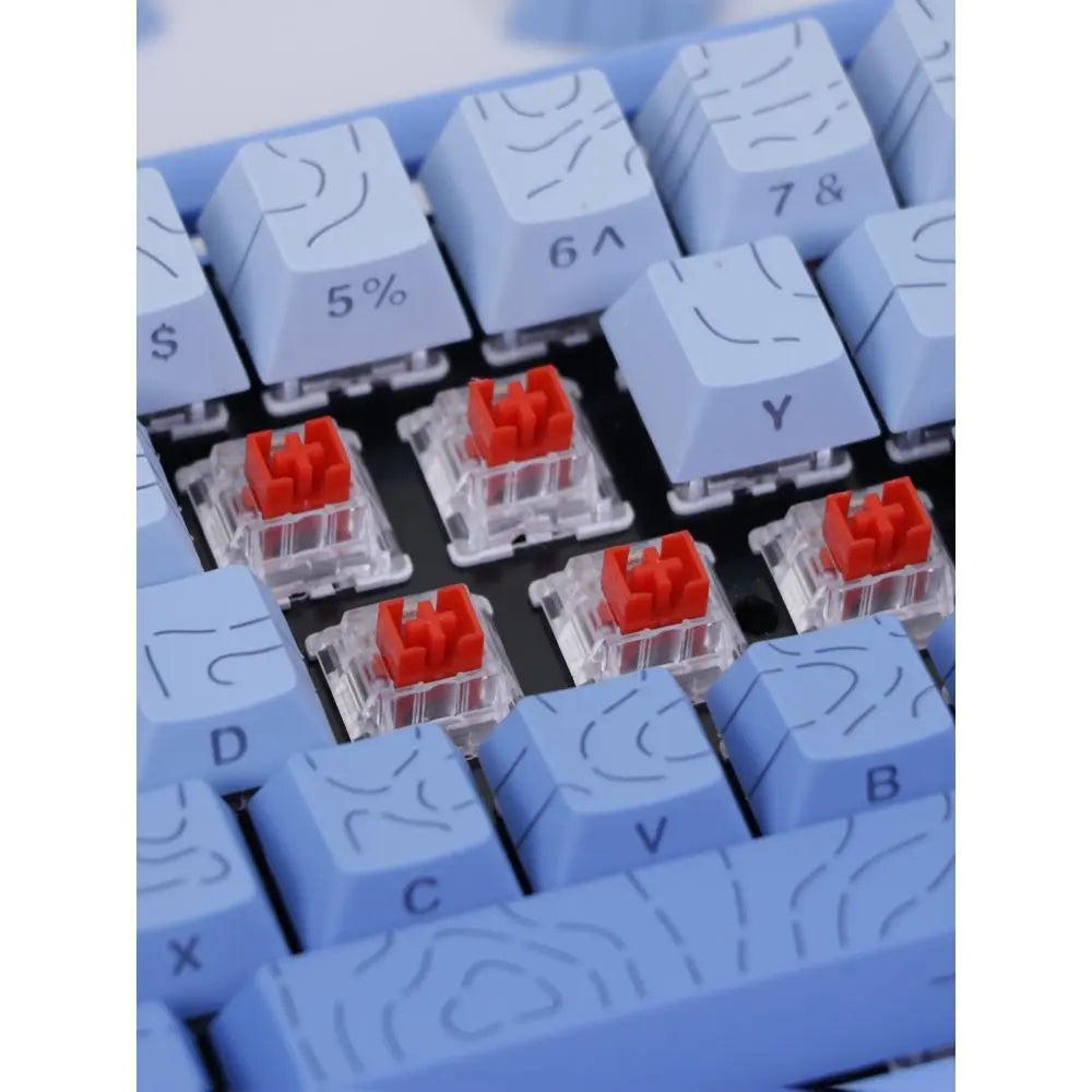 60% Mechanical Keyboard, Fresh Blue Translucent Gasket Mount Hot-Swappable RGB Wired Gaming Keyboard with Red Switch, N-Key Rollover for Clean Aesthetic PC Setup, 60 Percent Keyboard Compact