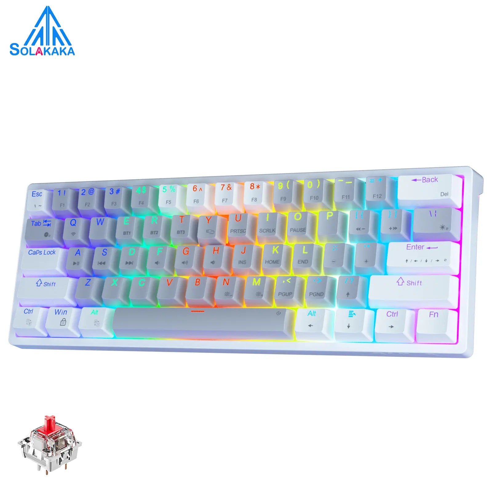 Solakaka SK961 Tri-Mode Wireless Mechanical Keyboard, 60% Compact RGB Gaming Keyboard with Bluetooth 2.4G USB-C, Affordable Programmable Keyboard for Gaming Office