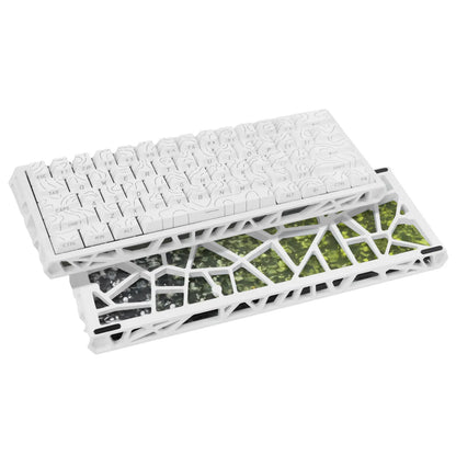 61-Key Gaming Keyboard — Desktop Setup: Gradient Color Scheme, Hot-Swappable Hollow Design, RGB Backlighting, Ultra-Compact Wired Design, Red Switches, Compatible with Windows/Macos, Suitable for Office and Gaming